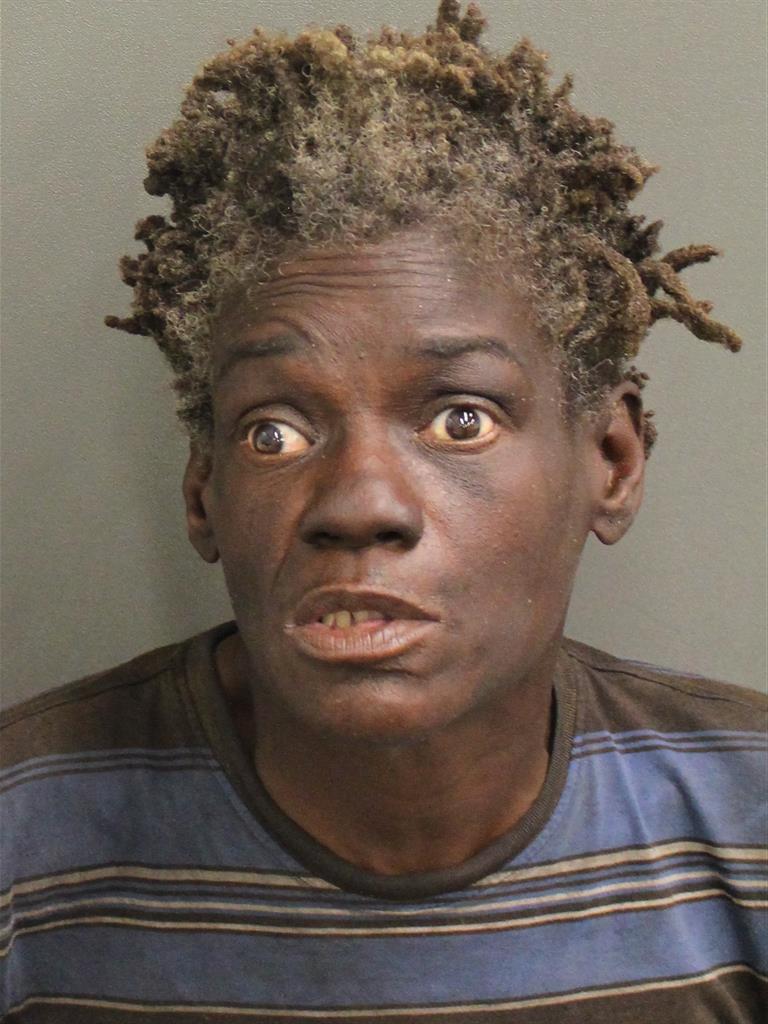  DOROTHY COLLINS Mugshot / County Arrests / Orange County Arrests