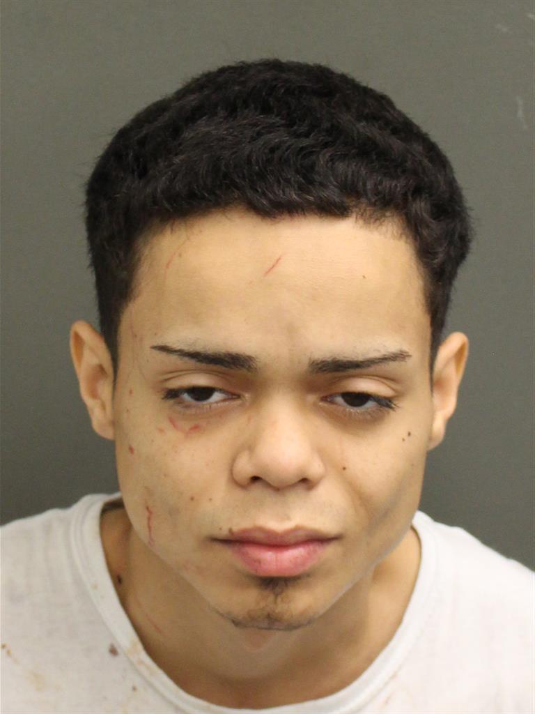  DENIS REYES Mugshot / County Arrests / Orange County Arrests