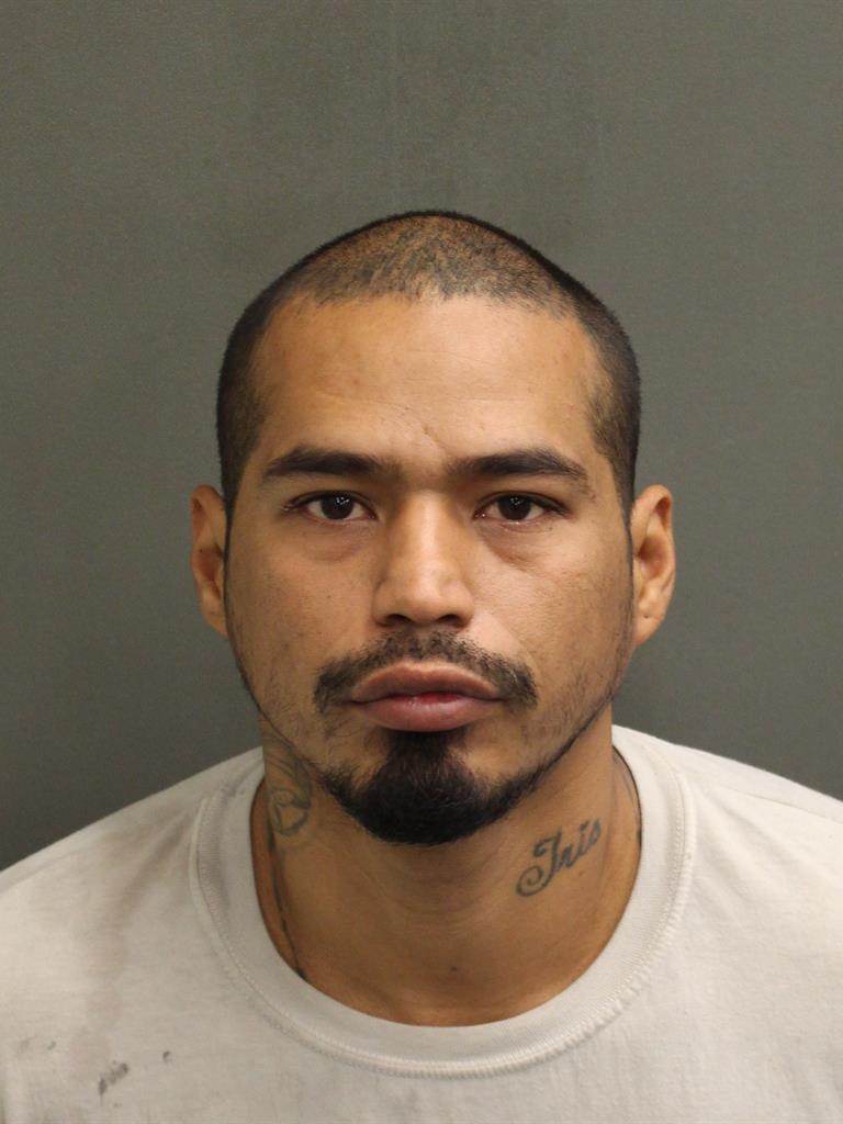  RODOLFO GARCIA Mugshot / County Arrests / Orange County Arrests