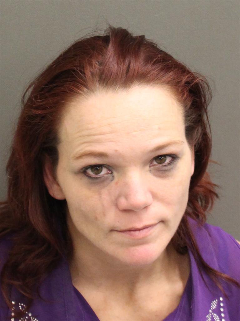  HEATHER RENEE REYNOLDS Mugshot / County Arrests / Orange County Arrests
