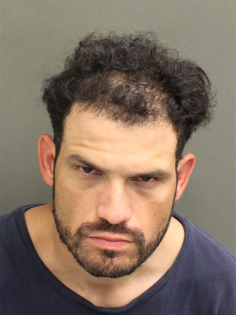  DANY D FERNANDEZ Mugshot / County Arrests / Orange County Arrests