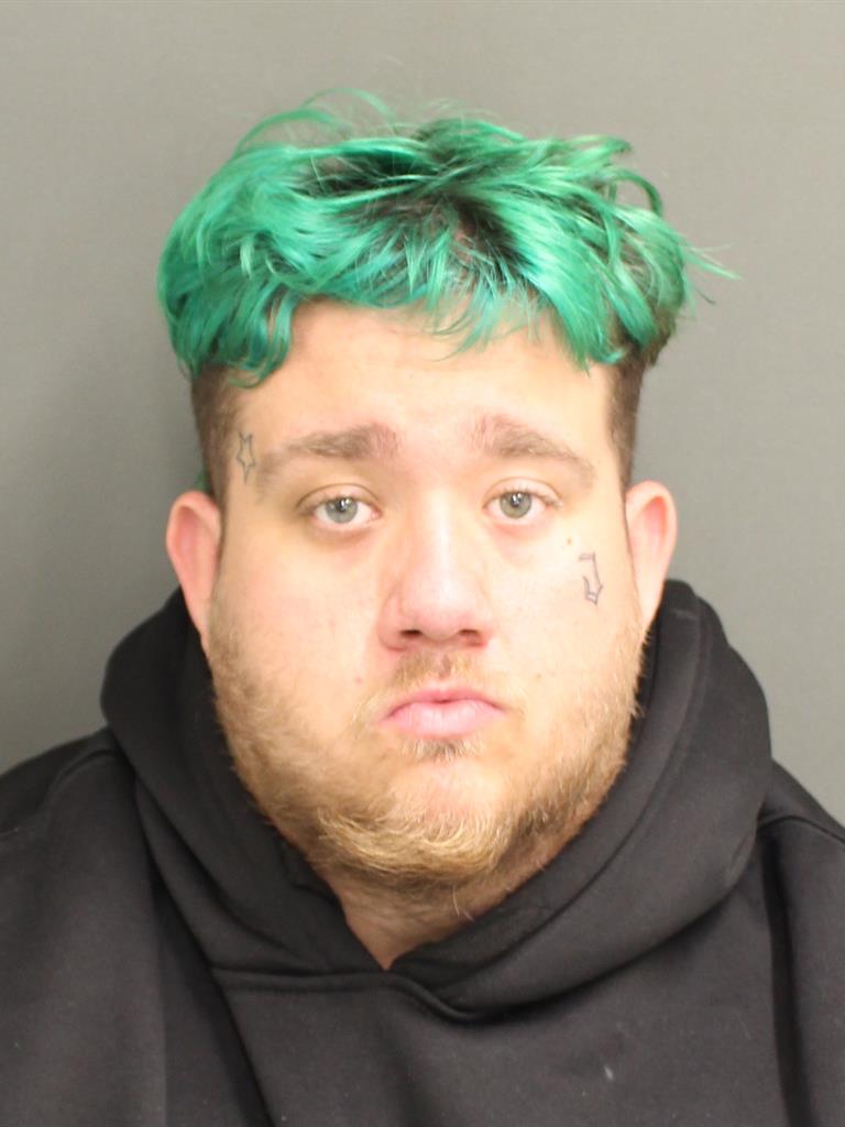  JOSEPH MICHAEL NEWTON Mugshot / County Arrests / Orange County Arrests