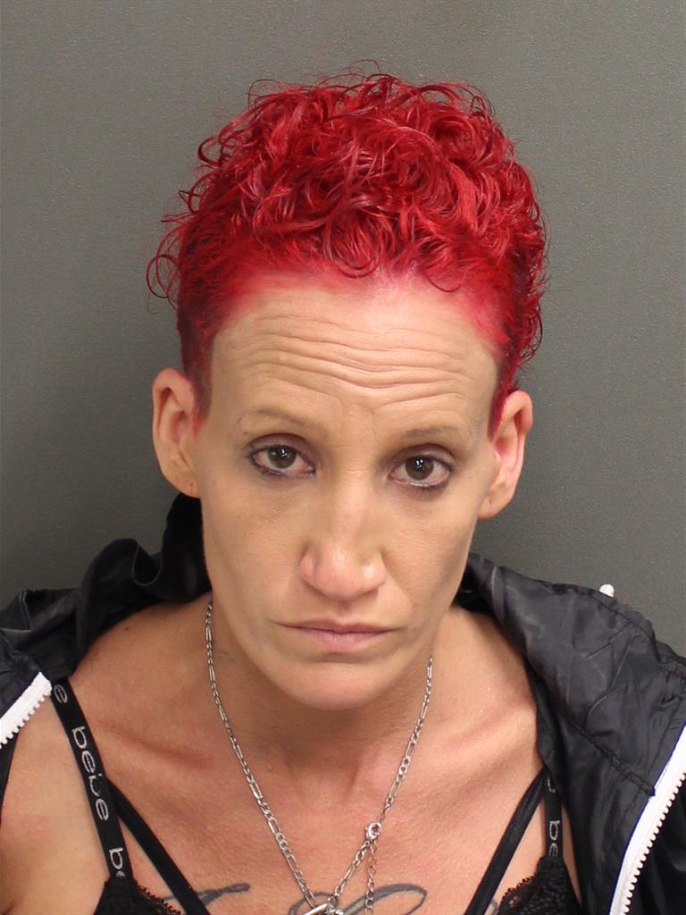  THERESA MARIE EGNER Mugshot / County Arrests / Orange County Arrests