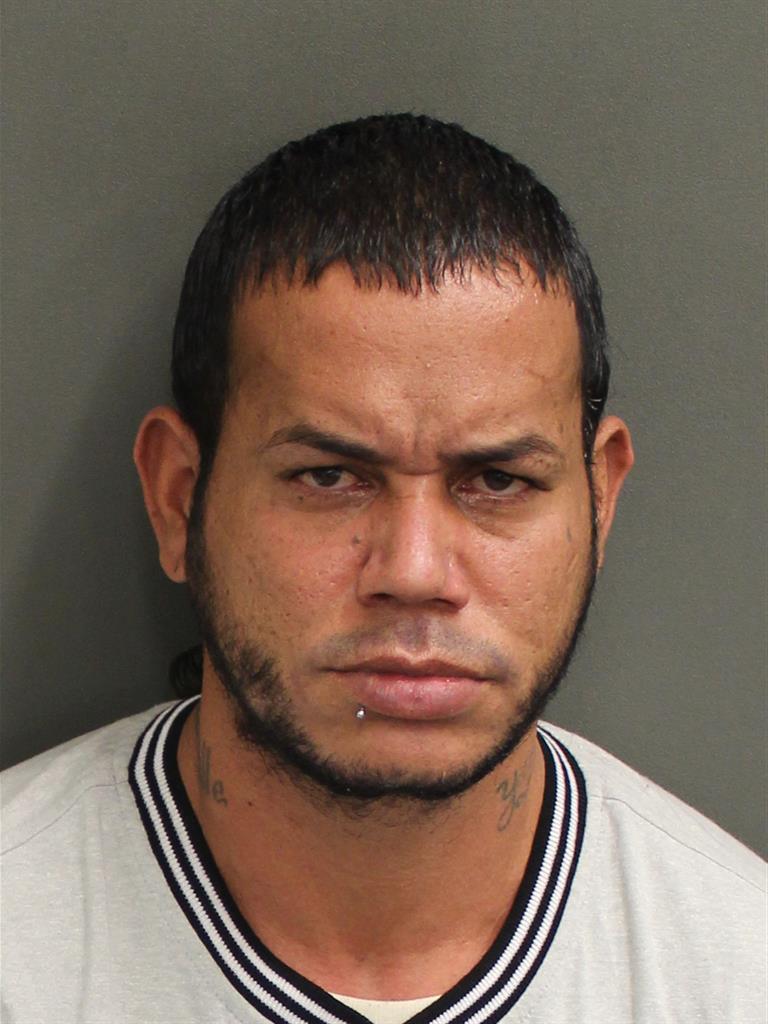  LUIS RIVERAORTIZ Mugshot / County Arrests / Orange County Arrests