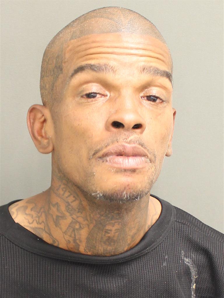  SHANNON LORENZA JOHNSON Photo Image