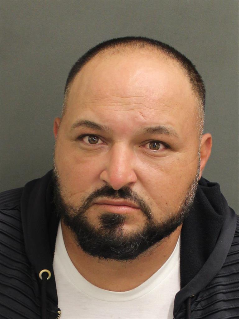  ION MIHAI Mugshot / County Arrests / Orange County Arrests