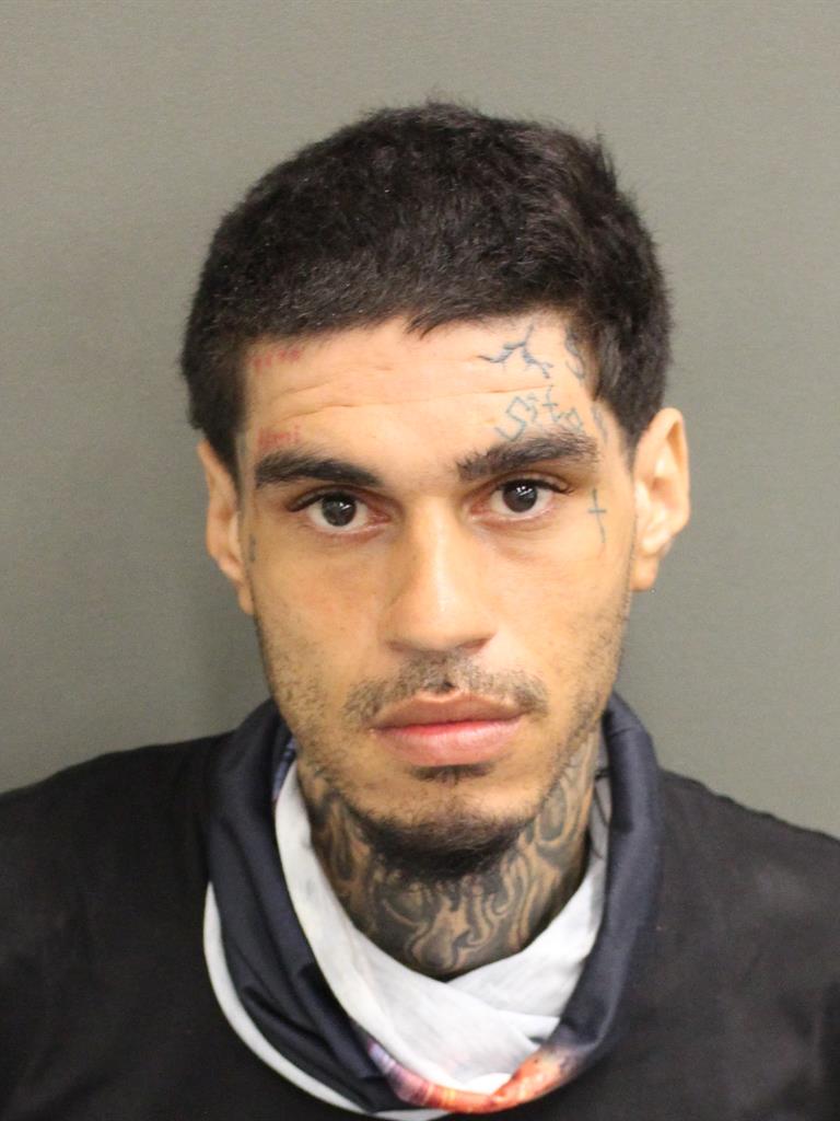 LUIS JR PEREZ Mugshot LUIS JR PEREZ Mugshot / County Arrests / Orange County Arrests