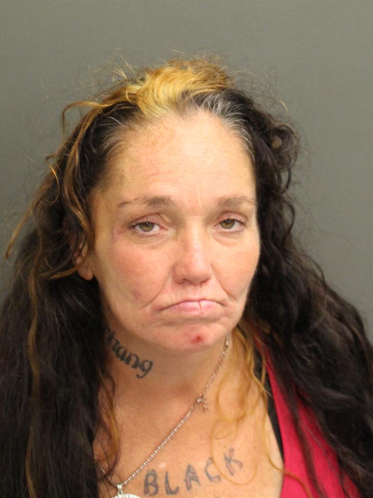 TAMARA LYNETTE ORTIZ Mugshot TAMARA LYNETTE ORTIZ Mugshot / County Arrests / Orange County Arrests