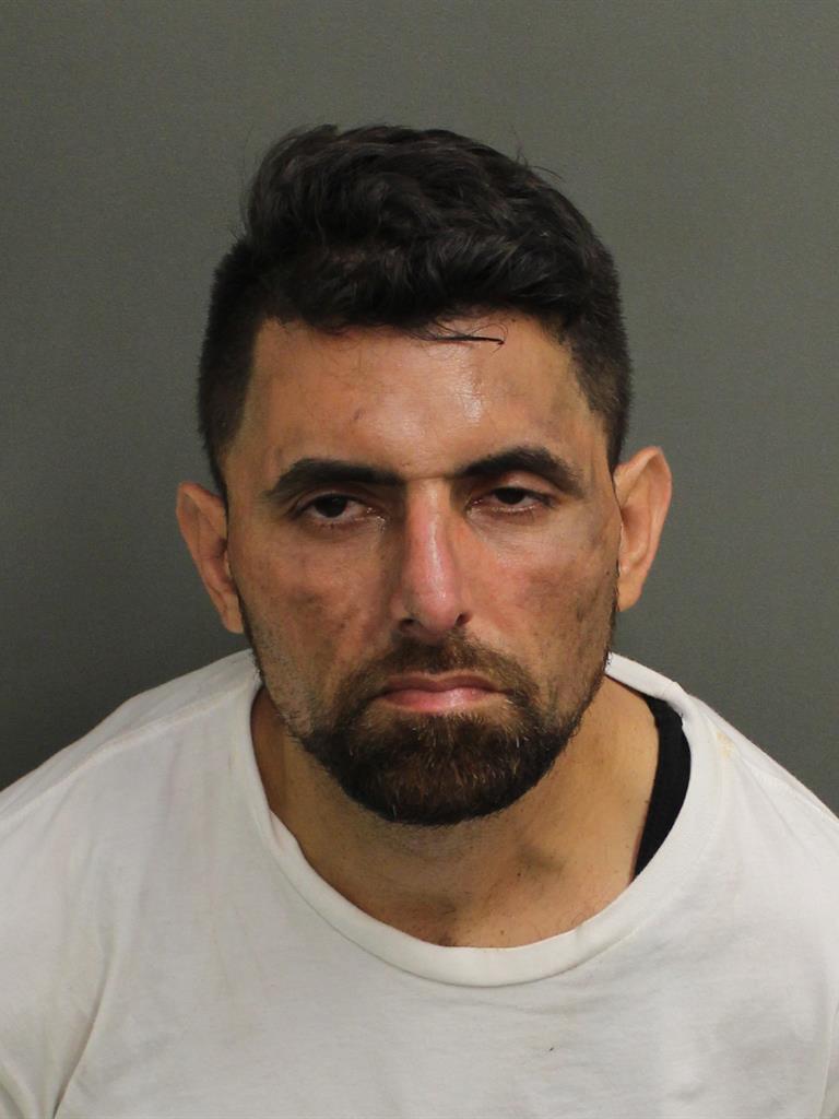  CAMERON BRYAN BAGHRZADEH Mugshot / County Arrests / Orange County Arrests