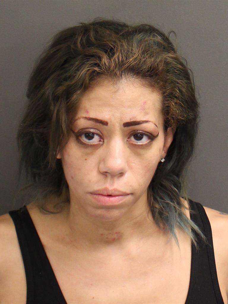  CYD MARIE CARRILLO GREENBERG Mugshot / County Arrests / Orange County Arrests