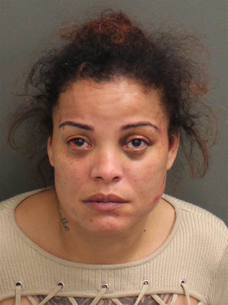  ANGELA SANPEDRO Mugshot / County Arrests / Orange County Arrests