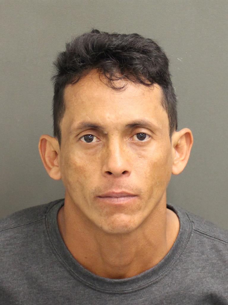  MARVIN LEONEL VALLADARES Mugshot / County Arrests / Orange County Arrests