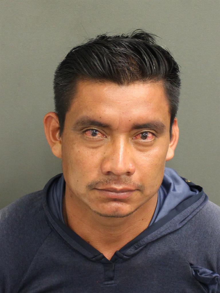  FELIPE DEJESU ALDAIR CASTILLO RAMIREZ Mugshot / County Arrests / Orange County Arrests