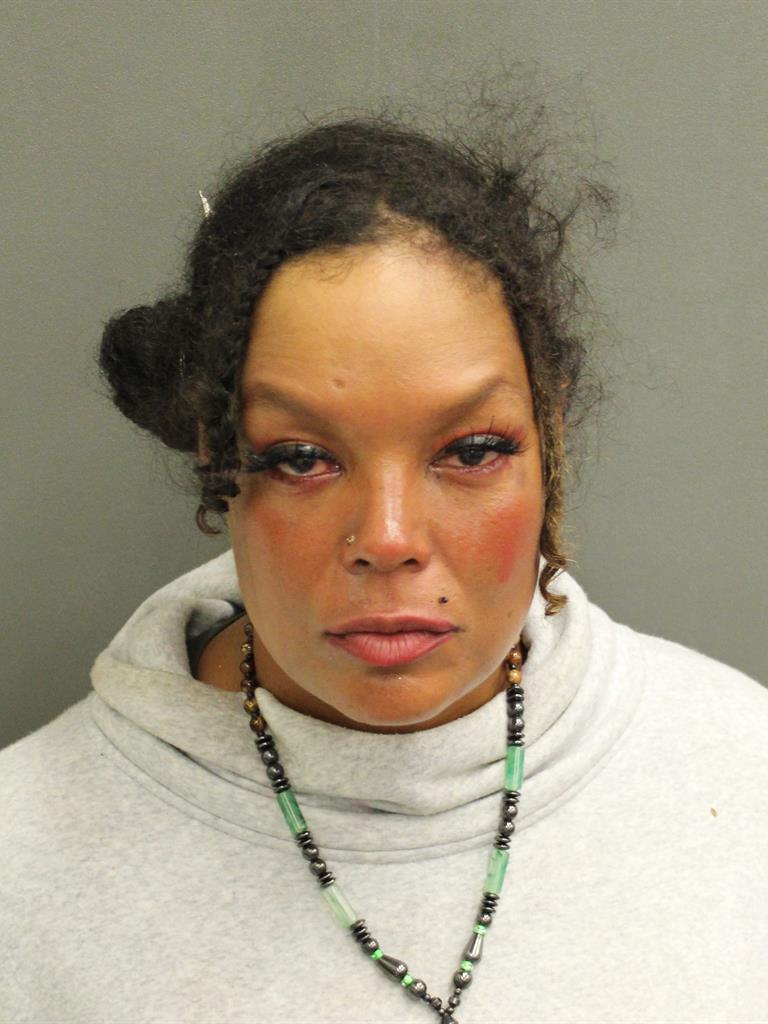  RACHEL SANCHEZ Mugshot / County Arrests / Orange County Arrests