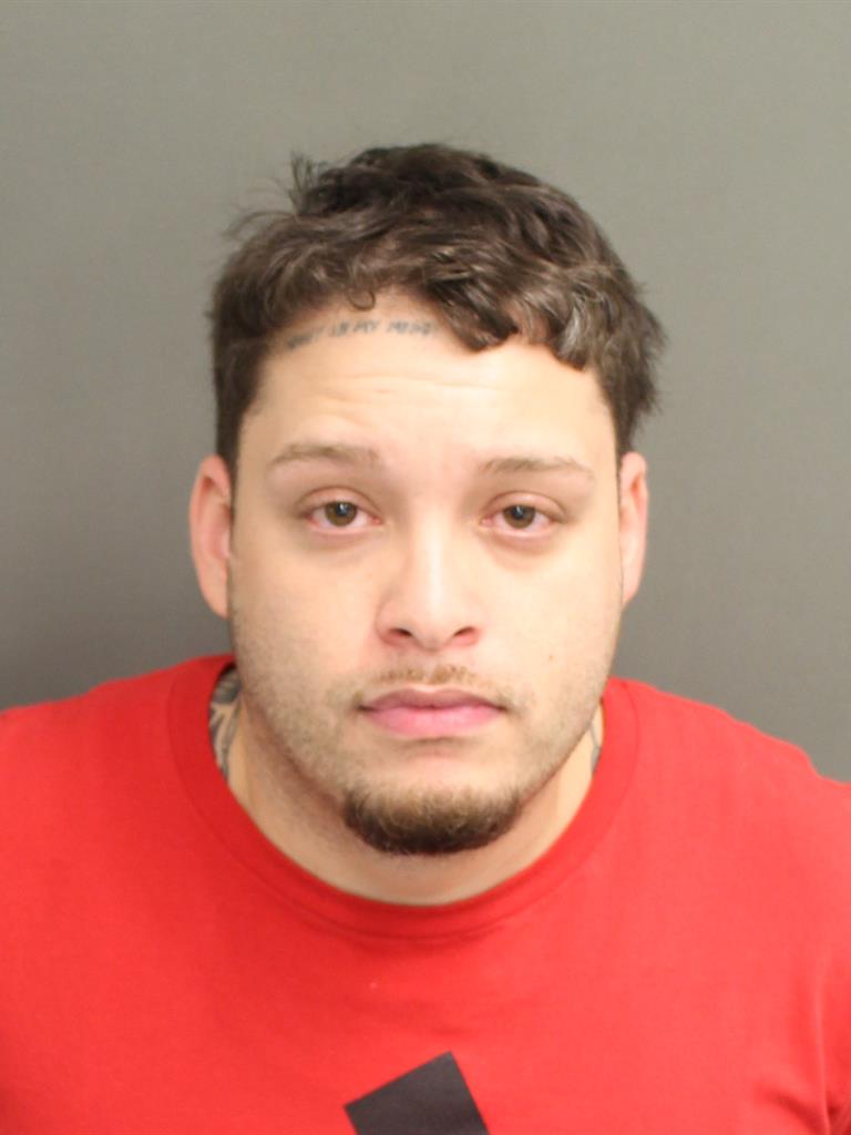 NEWMINN ILARRAZA TORRES Mugshot NEWMINN ILARRAZA TORRES Mugshot / County Arrests / Orange County Arrests