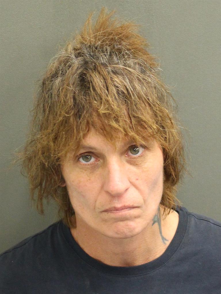  DORLYNNE RAYNA LINKS Mugshot / County Arrests / Orange County Arrests