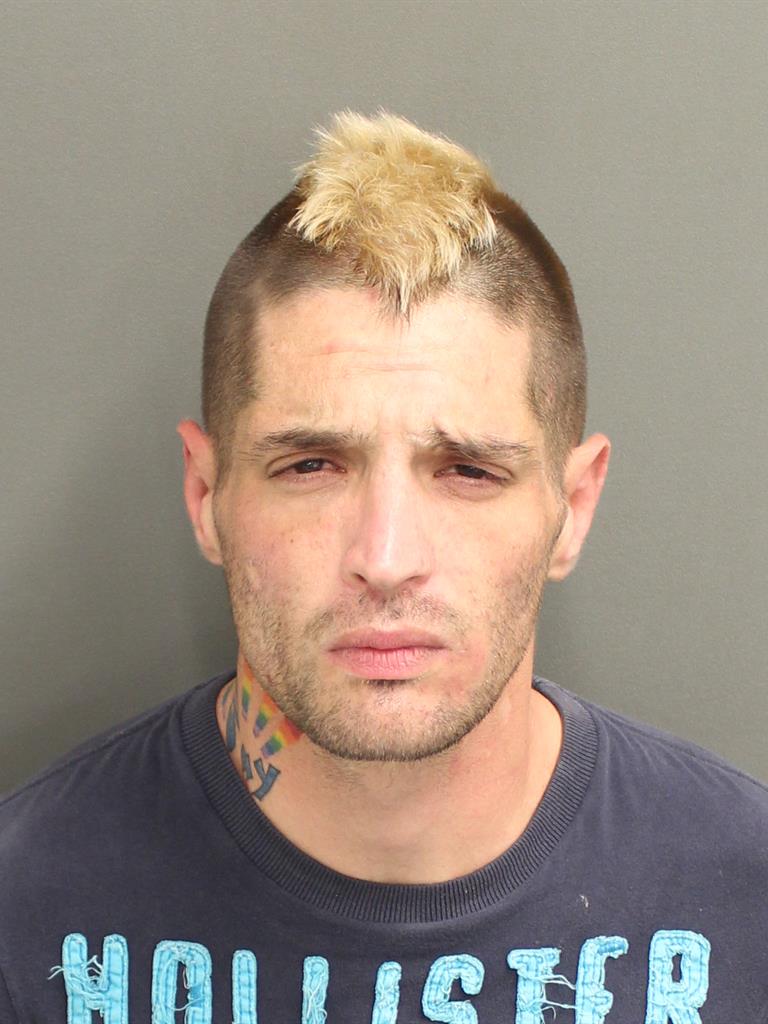  BRANDON KNOX Mugshot / County Arrests / Orange County Arrests