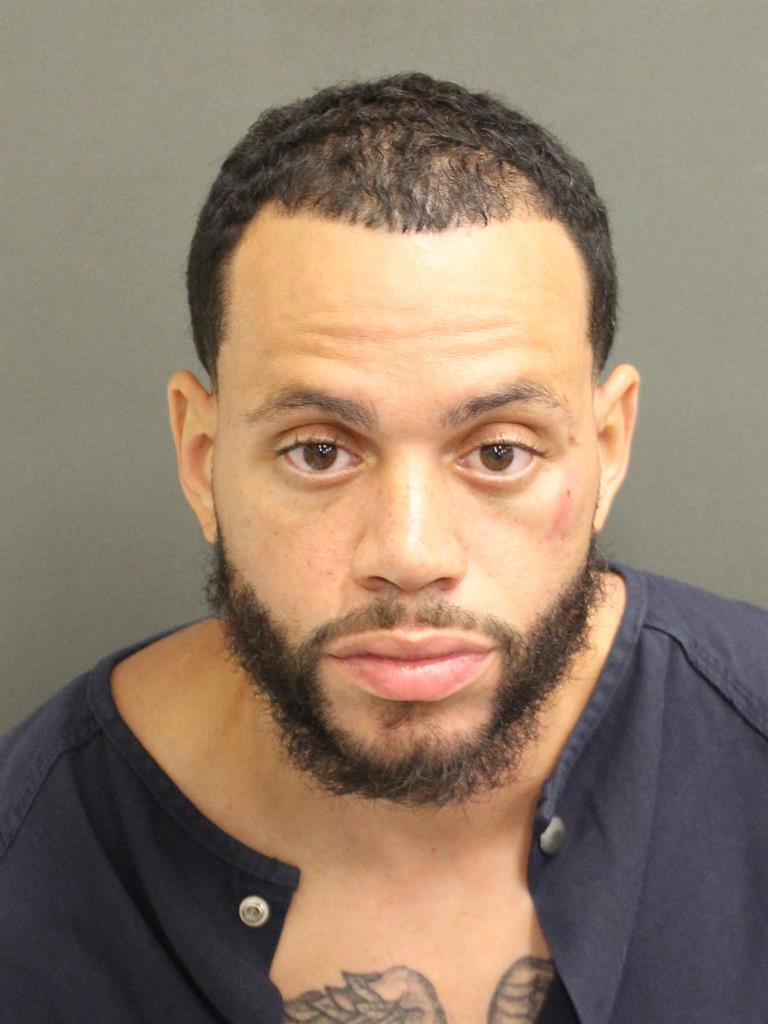  RICHARD CASTILLO Mugshot / County Arrests / Orange County Arrests