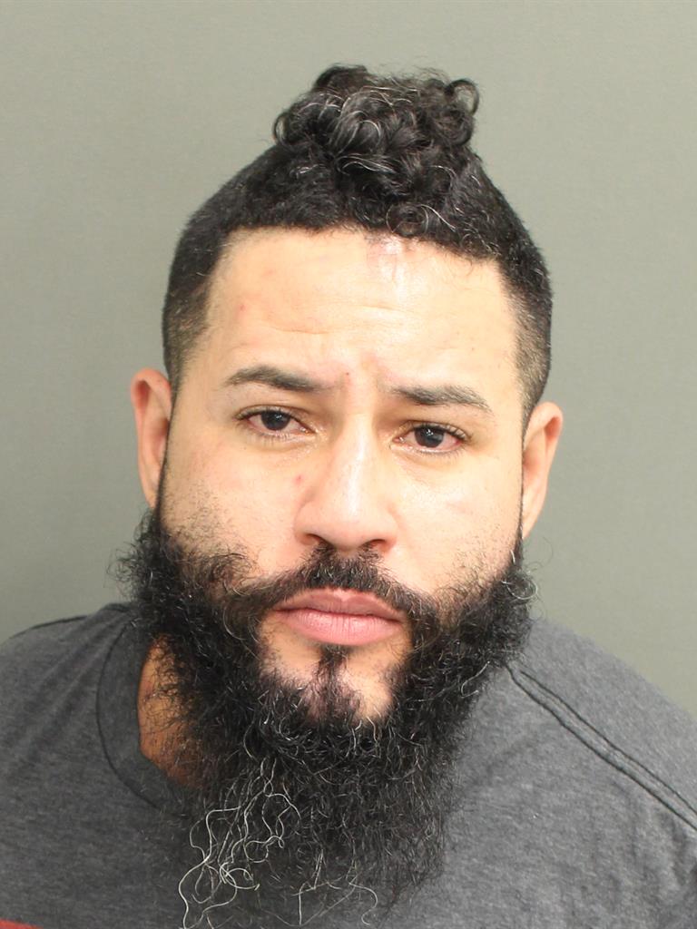  RAPHAEL PETER RAMOS Mugshot / County Arrests / Orange County Arrests