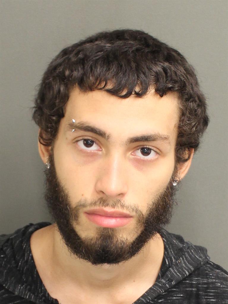  LENNYS Y REINA GERENA Mugshot / County Arrests / Orange County Arrests