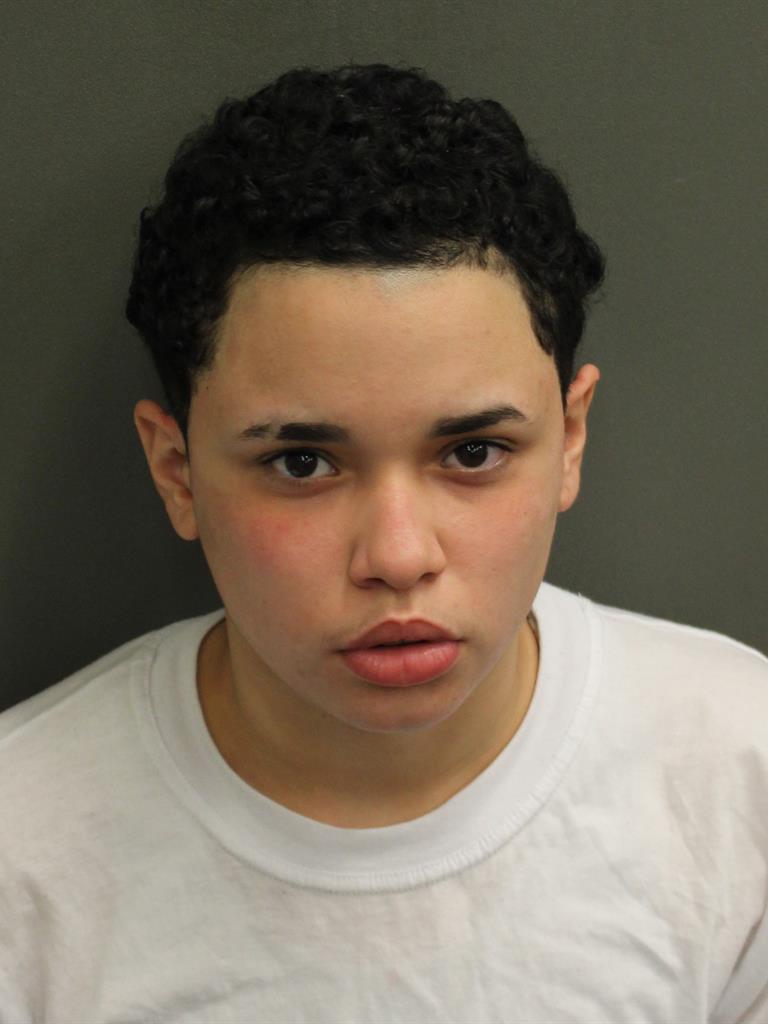  ALONDRA ROSADO Mugshot / County Arrests / Orange County Arrests