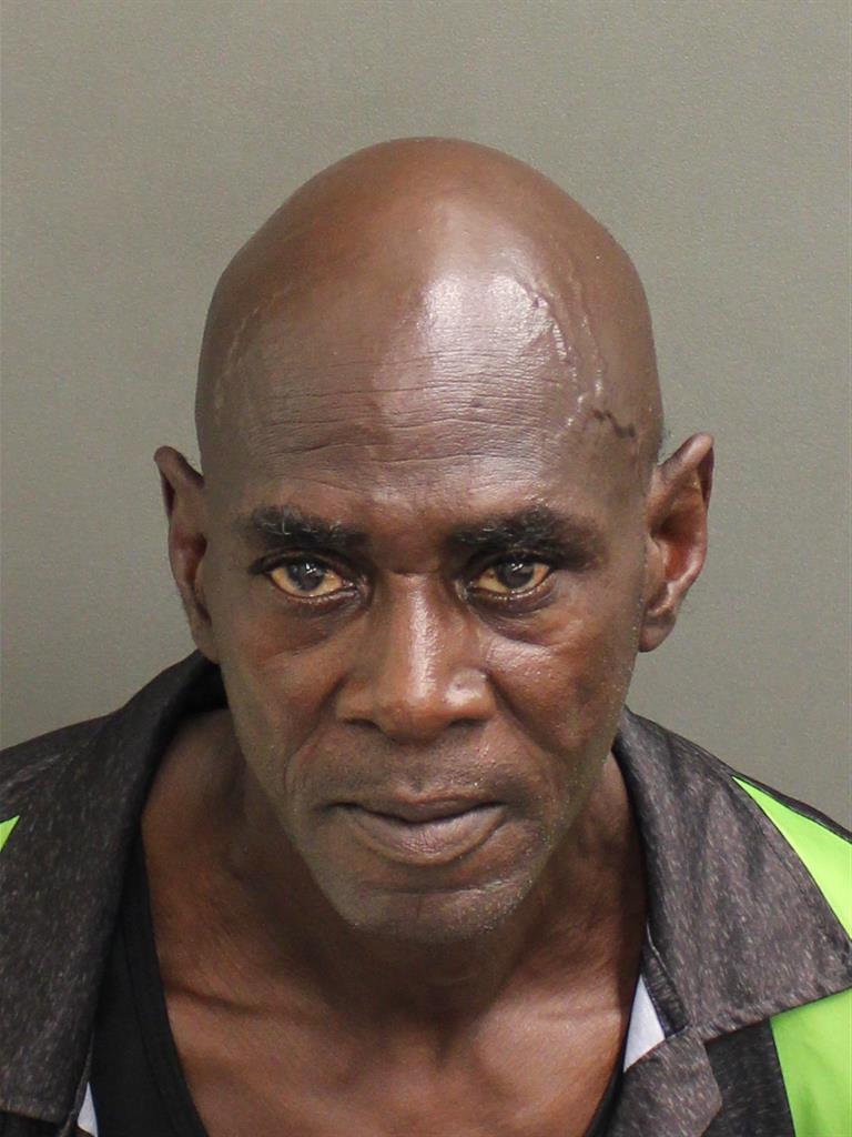 RONNIE LEANDRA MINOR Mugshot / County Arrests / Orange County Arrests