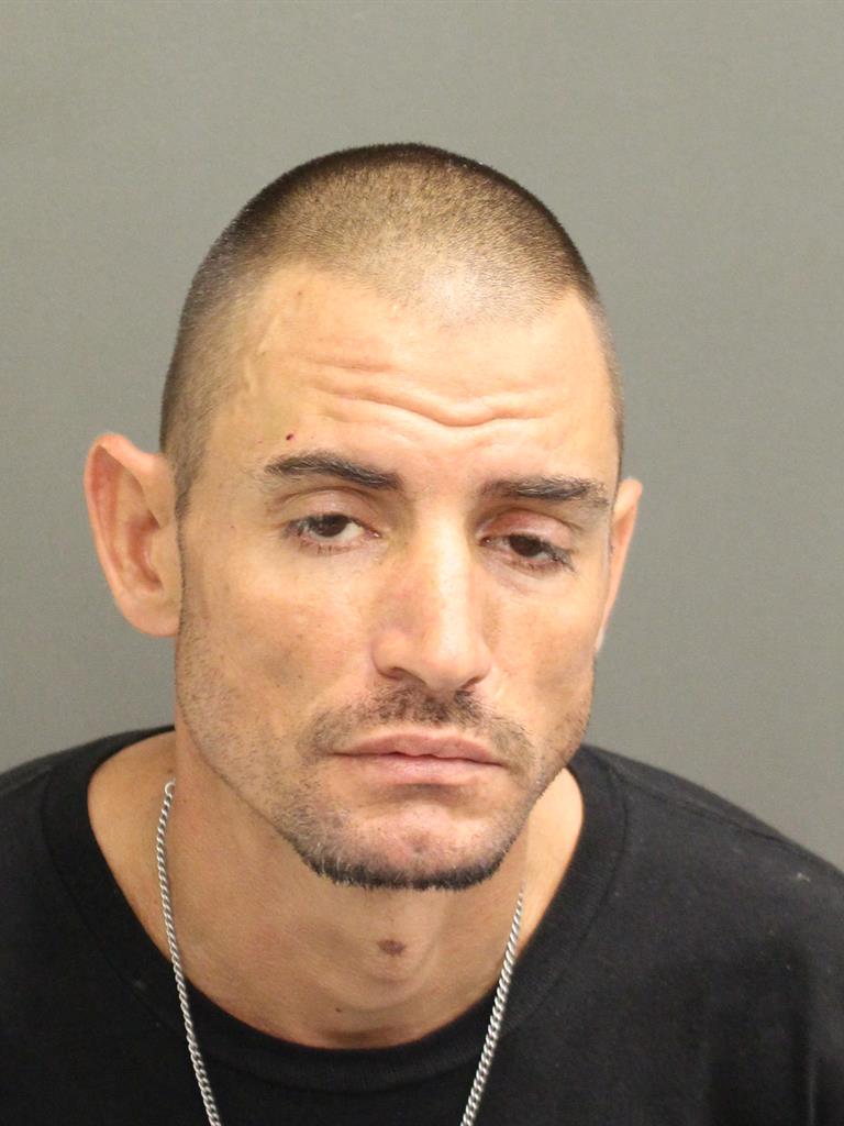  GEORGE TIMMONS Mugshot / County Arrests / Orange County Arrests