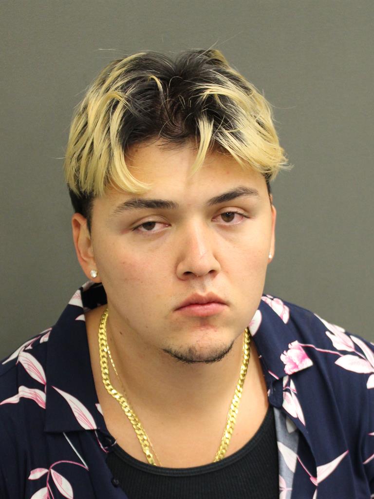  THYARLLS DE ALMEIDA B HERAI Mugshot / County Arrests / Orange County Arrests