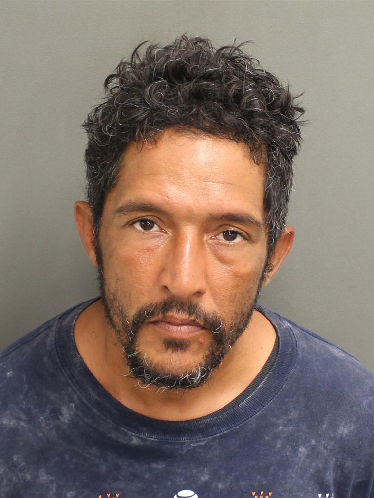  RAMON LUIS VELEZ PEREZ Mugshot / County Arrests / Orange County Arrests