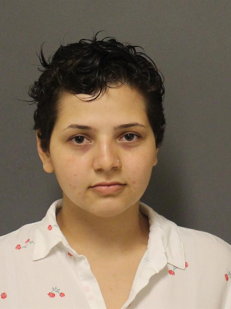  LETICIA DESOUZA Mugshot / County Arrests / Orange County Arrests