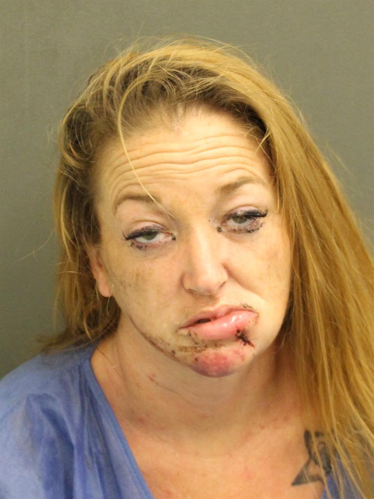  ANNA L SEARS Mugshot / County Arrests / Orange County Arrests