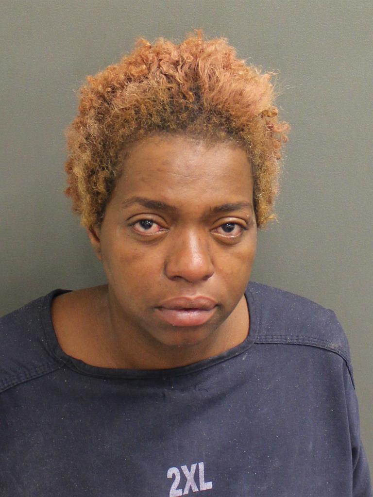  AYANA L JOHNSON Mugshot / County Arrests / Orange County Arrests
