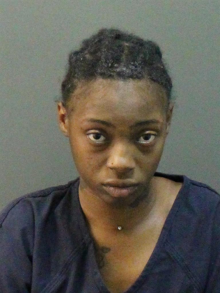  TAMIYA SHADARIUS POLITE Photo Image