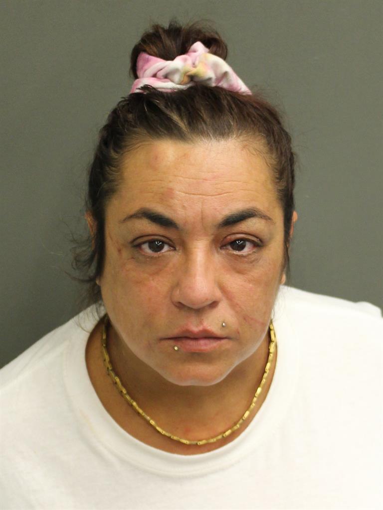  ELSIE COLLAZO Mugshot / County Arrests / Orange County Arrests
