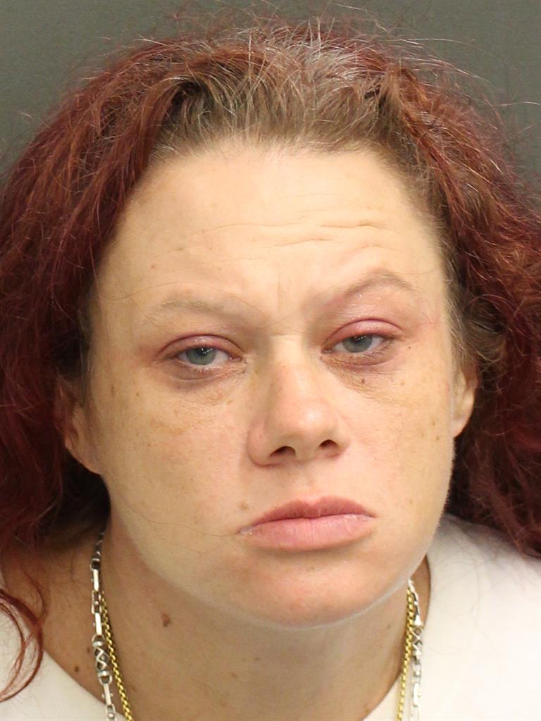  DESIREE L HODGES Mugshot / County Arrests / Orange County Arrests