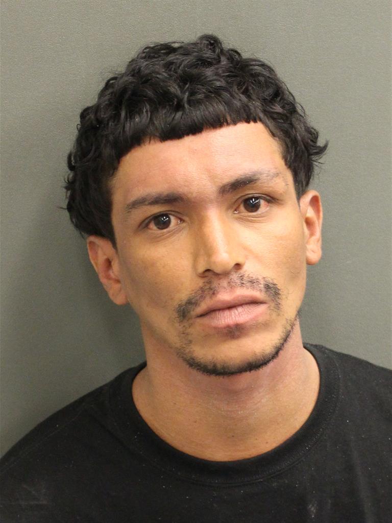  RICARDO ARZUAGA Mugshot / County Arrests / Orange County Arrests