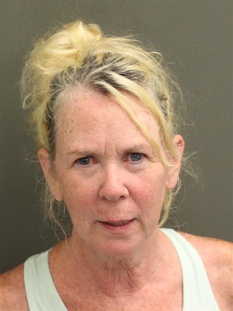  MARY ANNE MAYHEW Mugshot / County Arrests / Orange County Arrests