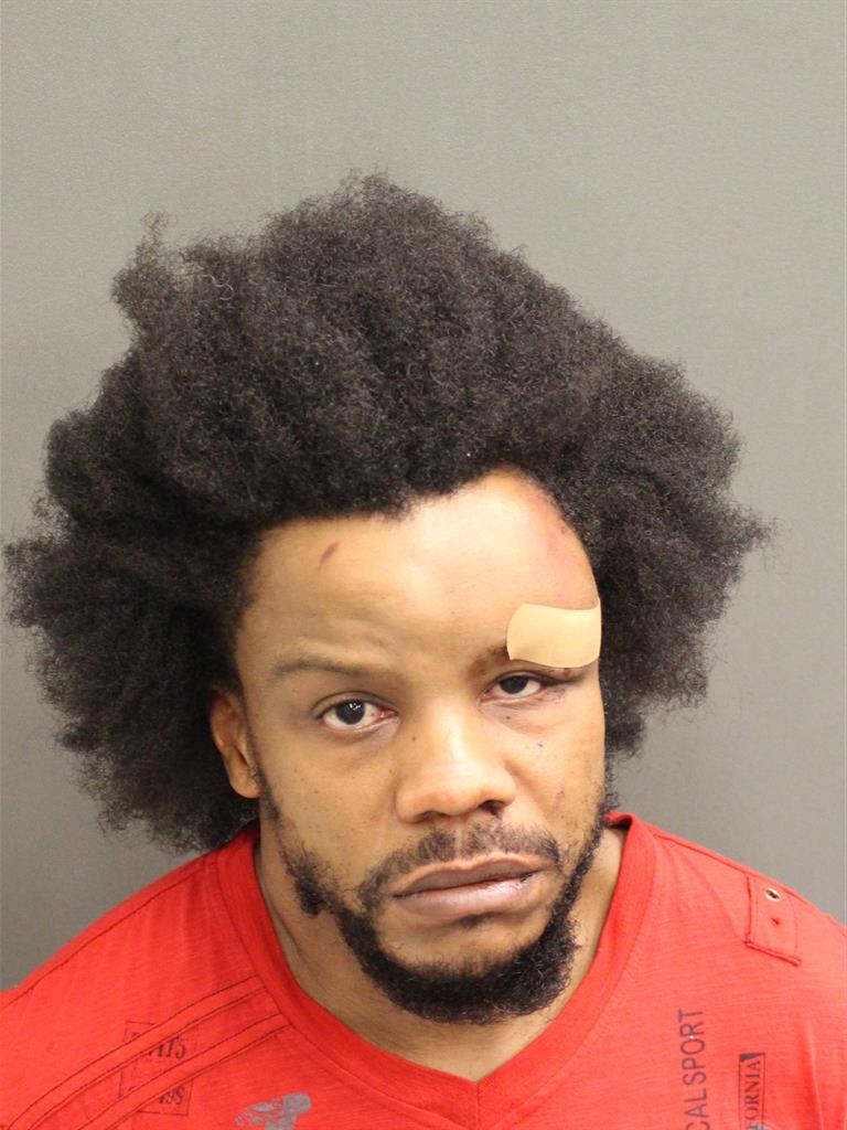  JASMINE DEMAIL GOWINS Photo Image