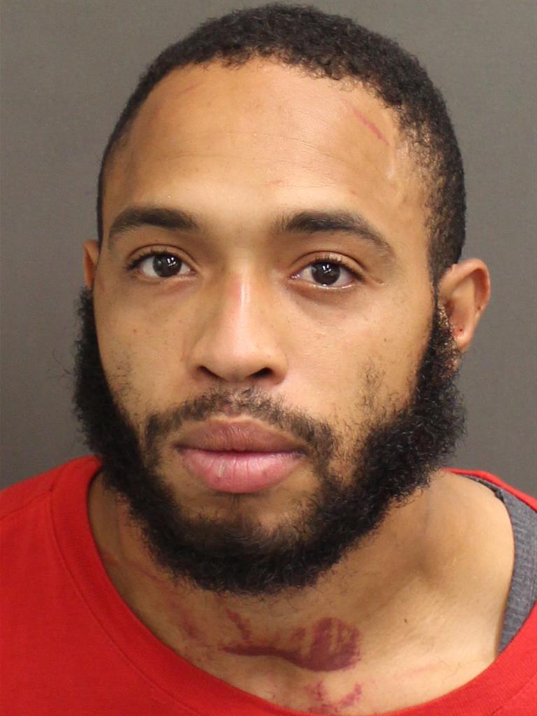  MICHAEL WHITE Mugshot / County Arrests / Orange County Arrests