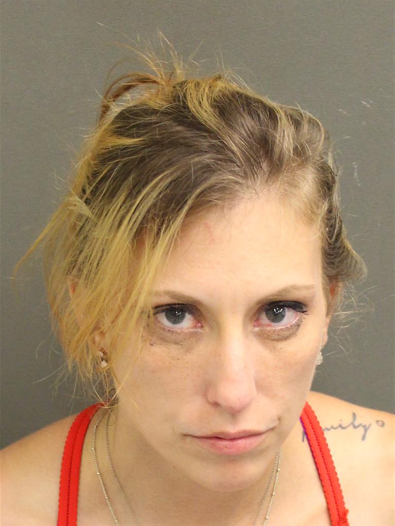  SARAH HAMILTON Mugshot / County Arrests / Orange County Arrests