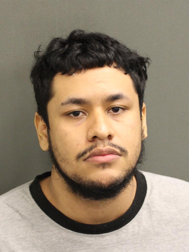  MICHAEL J FLORES Mugshot / County Arrests / Orange County Arrests