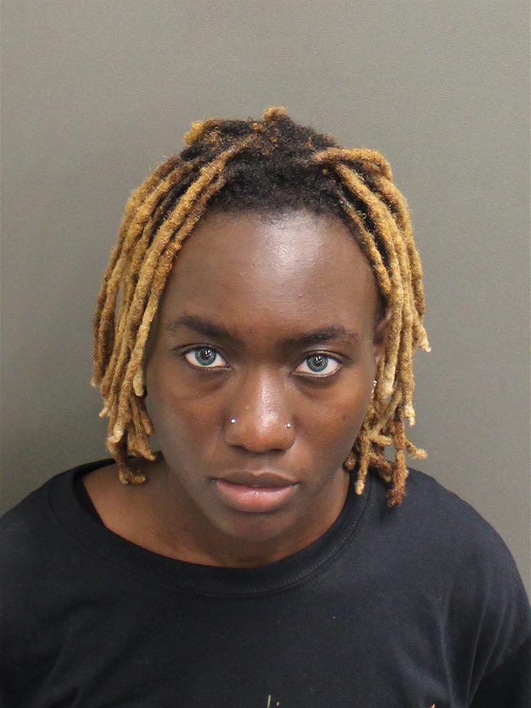 DYANDA REBEKAH LUBIN Mugshot DYANDA REBEKAH LUBIN Mugshot / County Arrests / Orange County Arrests