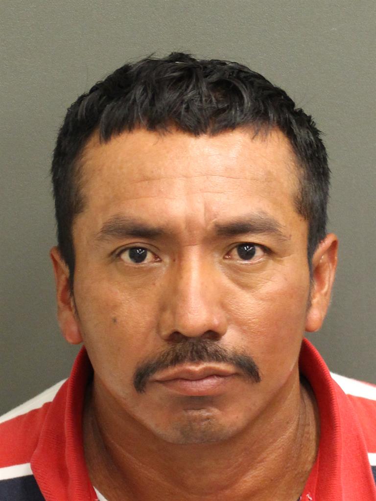  JULIO EFRAIN HERNANDEZ Mugshot / County Arrests / Orange County Arrests