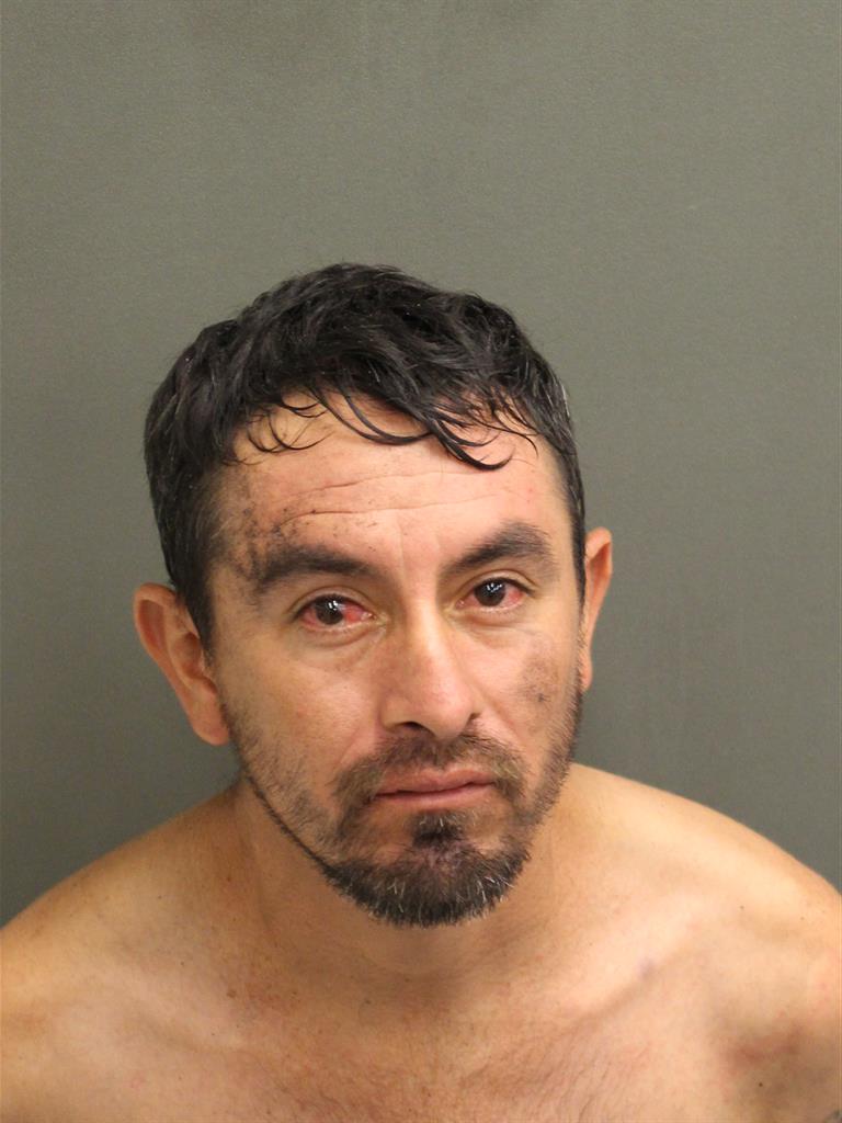  DAVID RUZ Photo Image