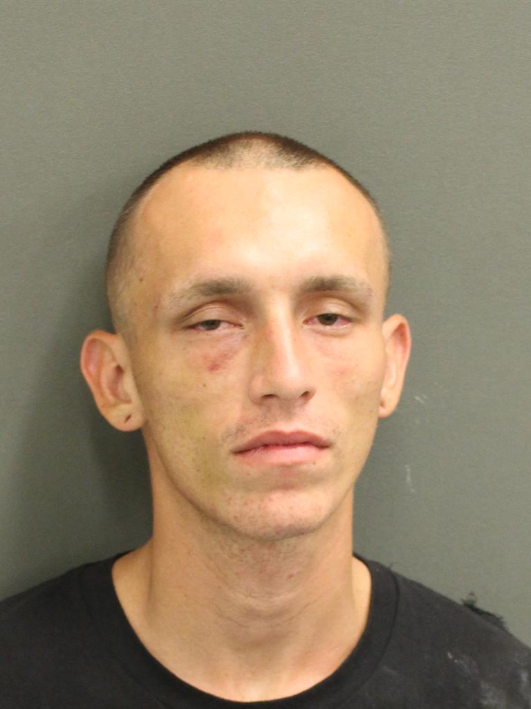  TYLER CAIN WORRICK Mugshot / County Arrests / Orange County Arrests