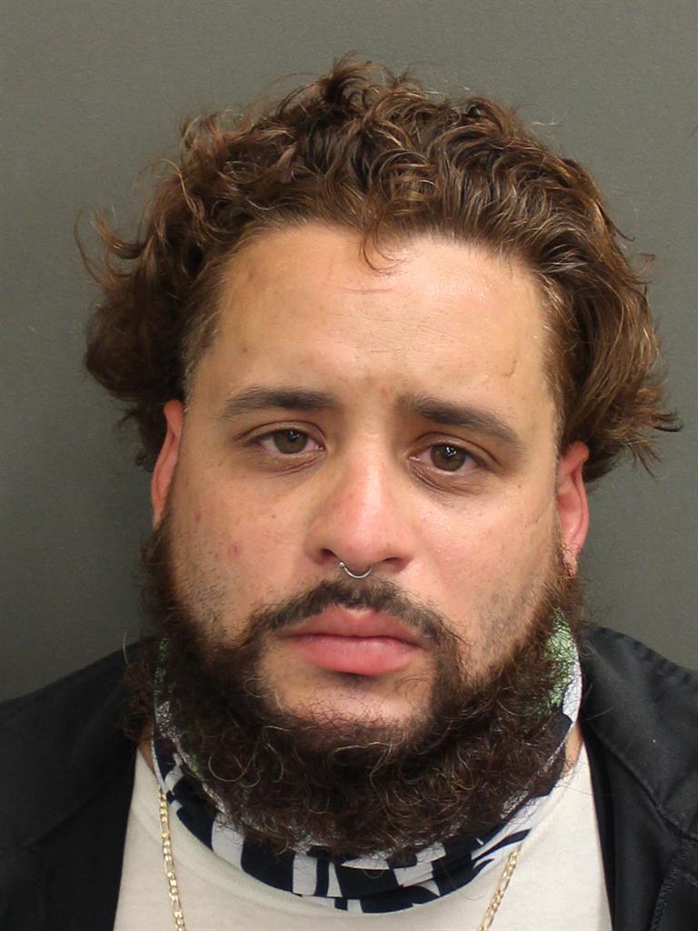  LUIS ESTEBAN FIGUEROA Mugshot / County Arrests / Orange County Arrests