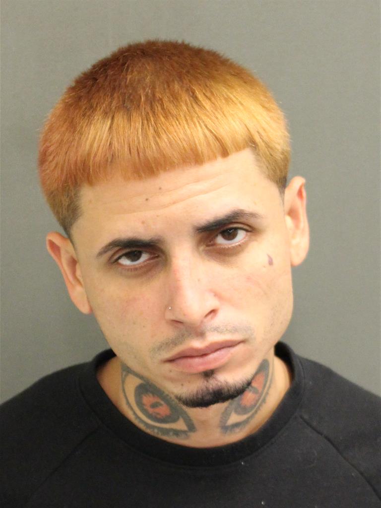  WILLIAM MORALESGARAY Mugshot / County Arrests / Orange County Arrests