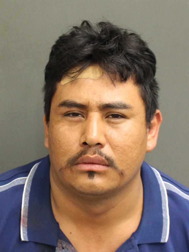  RENE GARCIARAMIREZ Mugshot / County Arrests / Orange County Arrests