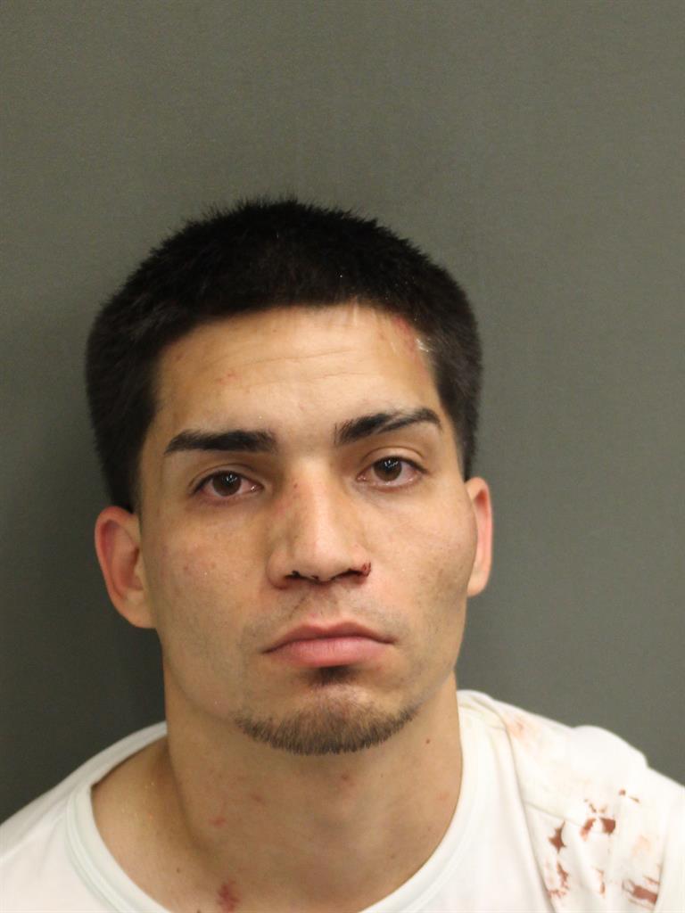  EDMEL HERNANDEZMELENDEZ Mugshot / County Arrests / Orange County Arrests