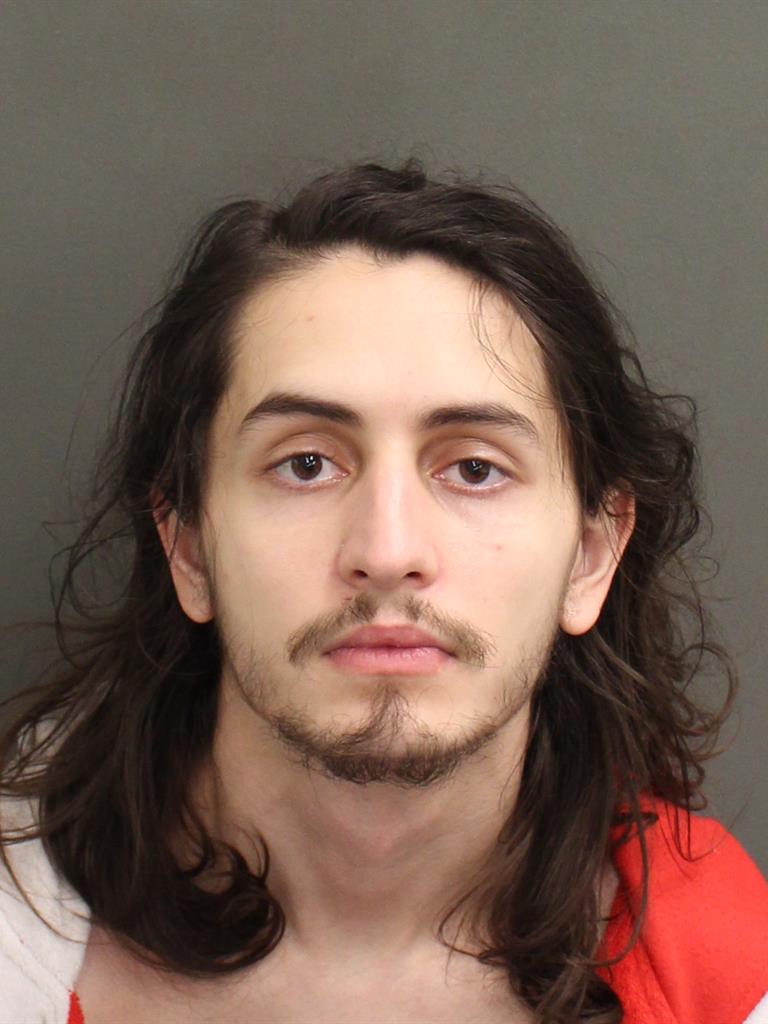  RICARDO ENRIQUE JR POLO Mugshot / County Arrests / Orange County Arrests